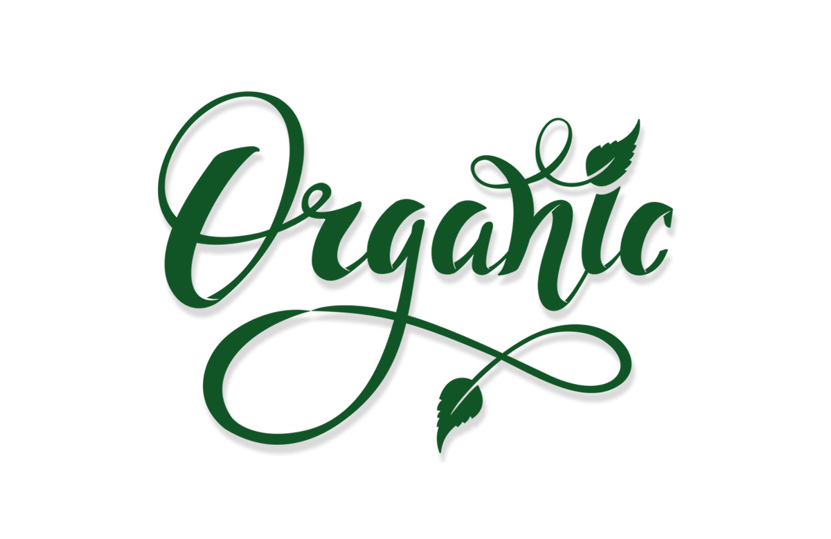  Разработка дизайна логотипа для производителя снековой продукции Organic