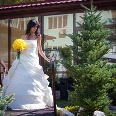 Фотосессия свадебных платьев для салона. Фотограф Алена Вихарева.