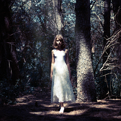 Сказки темного леса. Фотограф Вихарева Алена