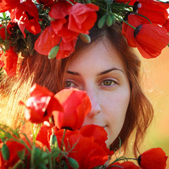 Фотосессия в маках. Бишкек. Фотограф Алена Вихарева.