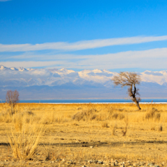 Осенний берег Иссык-куля