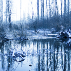 Зимнее озерцо