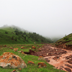 Туман в ущелье