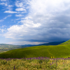 Весенние пейзаж