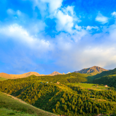 Летний лень в горах