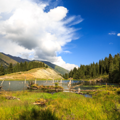 Затопленное озеро