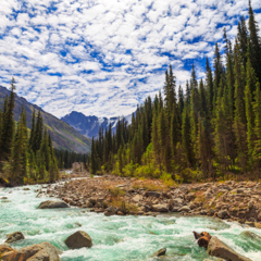 Ущелье Борскаун