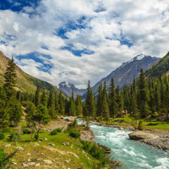 Ущелье Борскаун