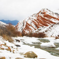 Зимнее ущелье