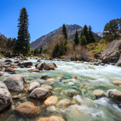 Горная река