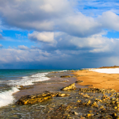 Зима на теплом озере