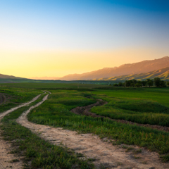 Проселочная дорога