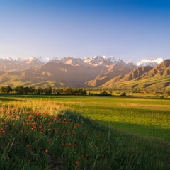 Долина в горах