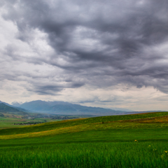 Пасмурный день