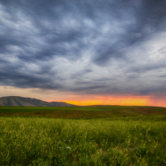 Перед дождем
