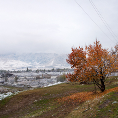 Граница осени и зимы