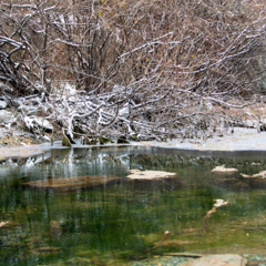 Живописное болотце