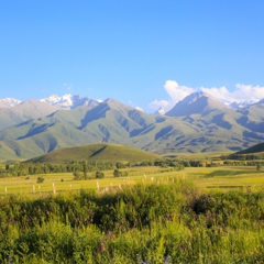 Лето в горах