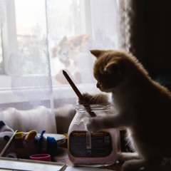 Юный кошачий художник