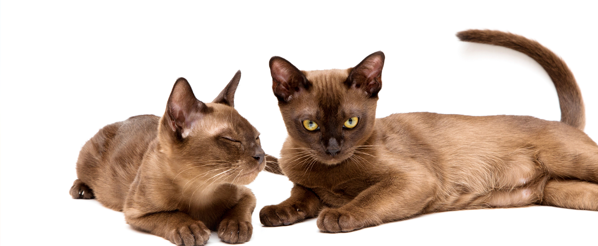 слайды-верх8