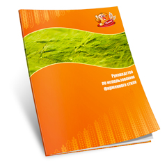 Разработка брендбука для компании Элита